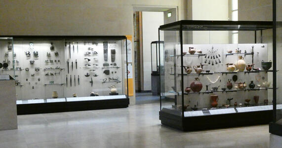 View of room with several display cases of prehistoric objects.