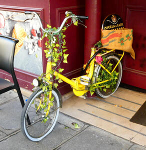 yellow bicycle decorated with vines