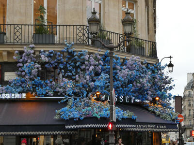 shop with blue flowers on awning