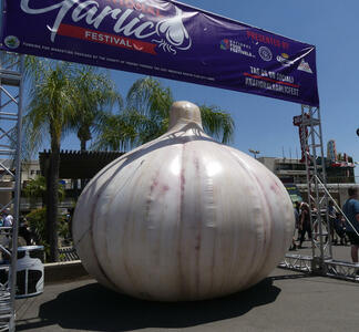 Giant (approx 3 meter tall) garlic bulb at entrance to fair