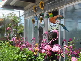 Pink flamingos, parrot, and sunflowers outside garden supply store