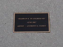 darwins playground