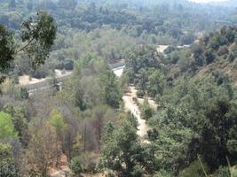 View of trees and countryside from freeway overpass