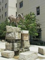 “Mountain Sheep,” sculpture atop stone fountain