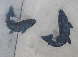 Pair of fish that are impressions in concrete