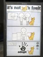 Bus stop poster encouraging people to adopt cats who have been abandoned by people moving away