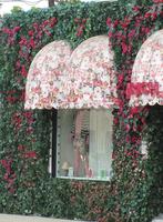 Storefront covered by vines and red flowers