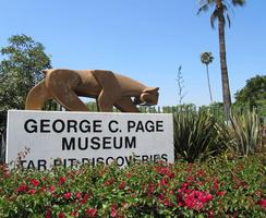 stylized sabertooth tiger above sign for George C. Page Museum of Tar Pit Discoveries