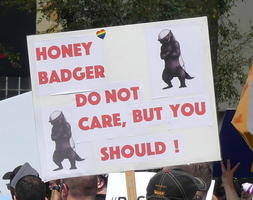 Honey badger do not care, but you should!