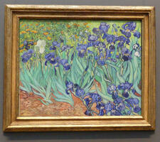 Van Gogh painting of irises