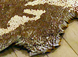 Closeup of carpet showing individual cigarettes