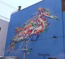 Multi-colored flamingo in graffiti strokes