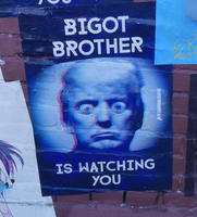 Old-style TV screen showing Trump with large bug eyes. Text: Bigot Brother is watching you