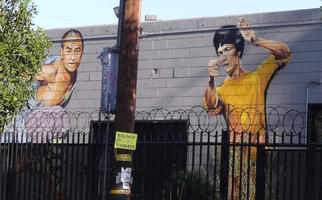 Wall art of a martial artist and Bruce Lee