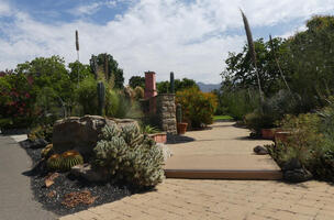 Long view of cactus garden