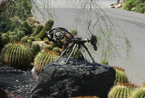 Metal sculpture of insect among cacti