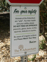 Animals at the Arboretum are “wild”. For their health and your safety, please DO NOT FEED OR APPROACH peacocks, geese, ducks, turtles, squirrels, bobcats or coyotes.