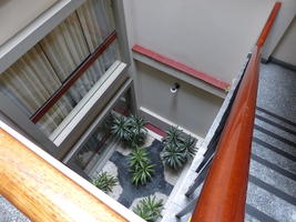 Plants in stairwell, viewed from 4th floor