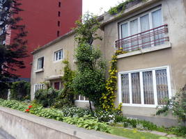 Older house with flowers growing on walls