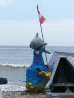 Dolphin on a blue-painted buoy.