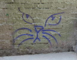 Graffiti of cat eyes, nose, mouth, and whiskers