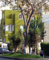 Olive-colored building in residential area