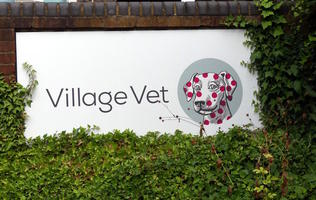 Drawing of smiling dog with red spots; text reads “Village Vet“