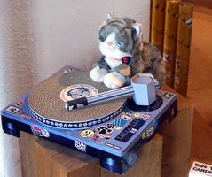Plush toy cat on DJ turntable