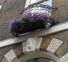 Blue flowers in basket above archway