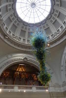 Chihuly abstract glass sculpture hanging from ceiling.