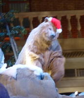 Animatronic brown bear in Santa hat