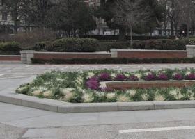 Flower bed in shape of a rectangle with one pointed end