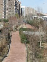 View from overpass of a linear park