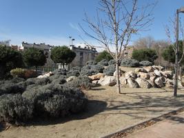 Shrubs and rocks at linear park