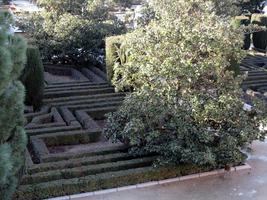 Hedge maze at Sabatini Garden