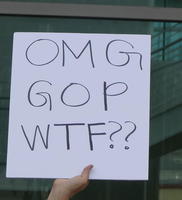 Hand-held sign: OMG GOP WTF??
