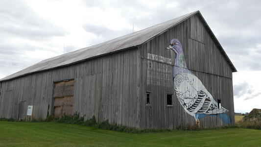pigeon barn