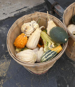 basket of gourds
