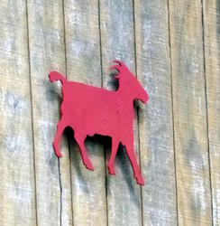 red goat
