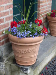 kingston flowerpot