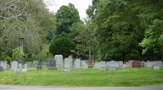 Multiple headstones with large trees in background