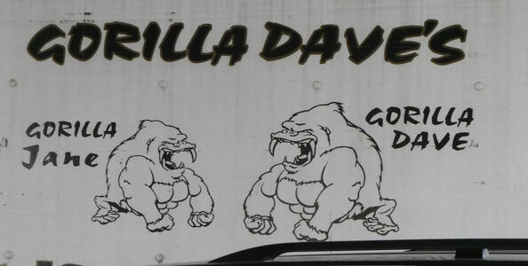 Gorilla Dave’s. At left, Gorilla Jane; at right, Gorilla Dave (with line art of two gorillas)