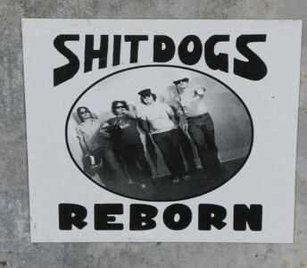Sticker with four men in sunglasses; text: Shit dogs reborn