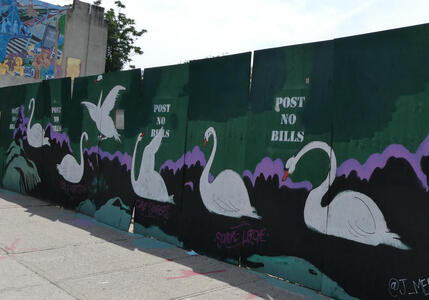 Green construction fence with paintings of swans