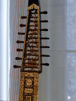 Head of string instrument showing tuning knobs
