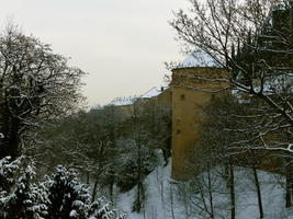 View of tower and trees from entrance to Prague Castle