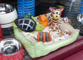 Whimsical pet toys (turtle, pig, giraffe) in store window