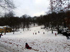 People sledding down a steep hill