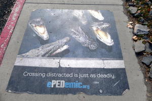 Sign on ground showing crocodiles; text: “Crossing distracted is just as deadly.”