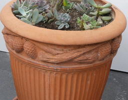 Succulents in terra cotta planter with pinecone pattern
